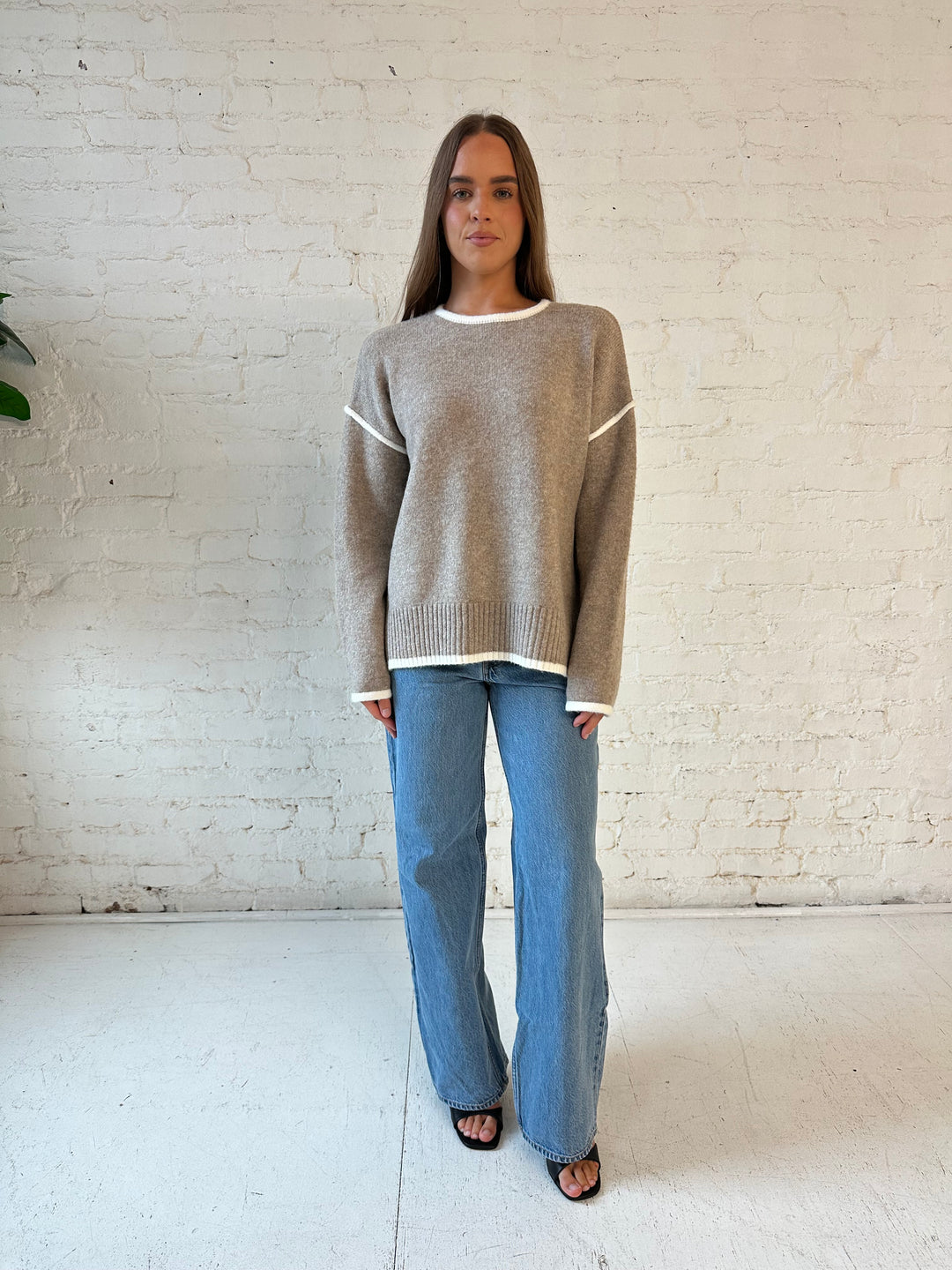Alena Taupe Contrast Trim Sweater