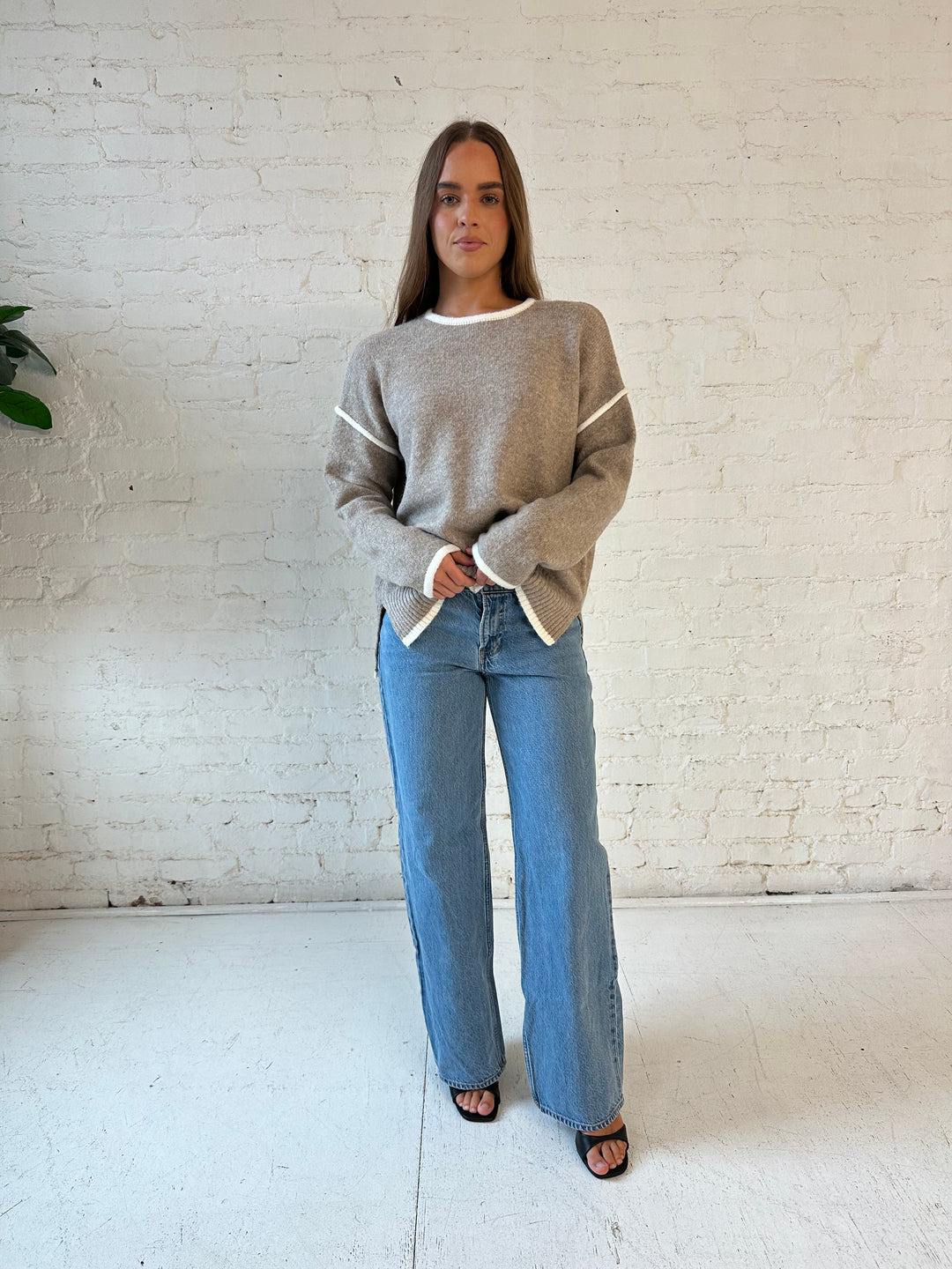 Alena Taupe Contrast Trim Sweater