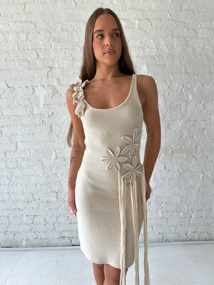 Natasha Nude 3D Floral Applique Mini Dress