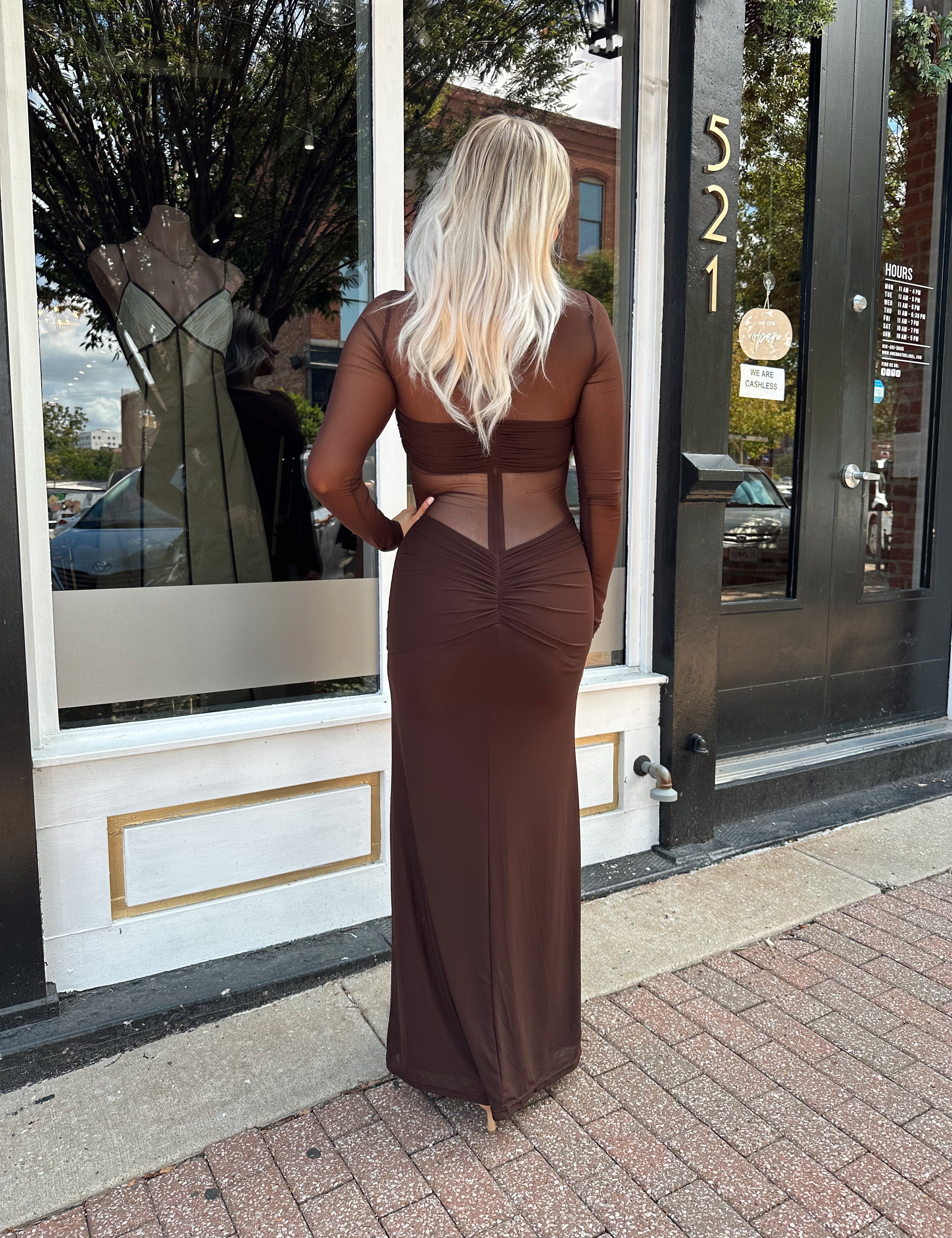 Woman wearing a long sleeve brown sheer maxi dress.