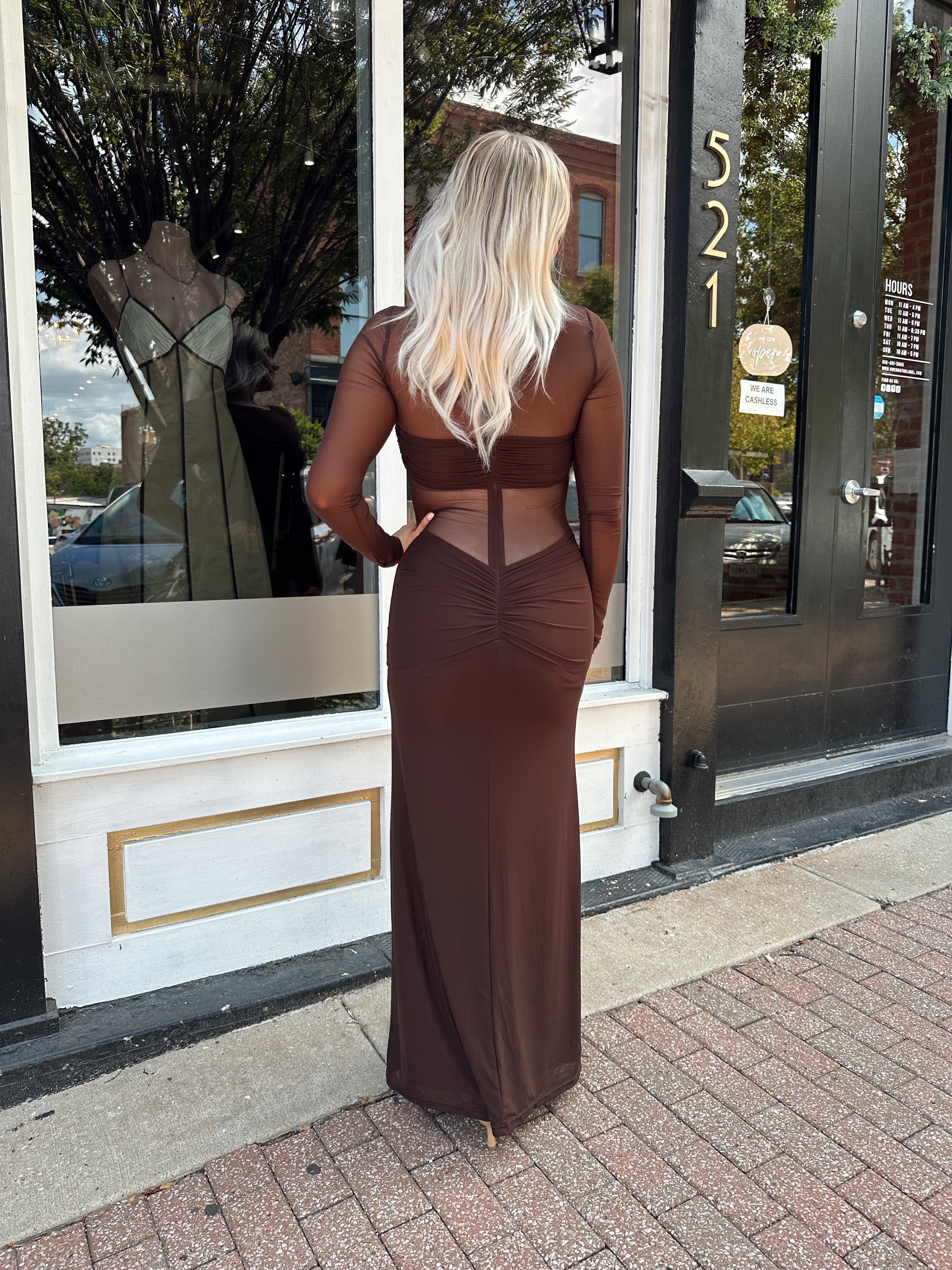 Woman wearing a long sleeve brown sheer maxi dress.