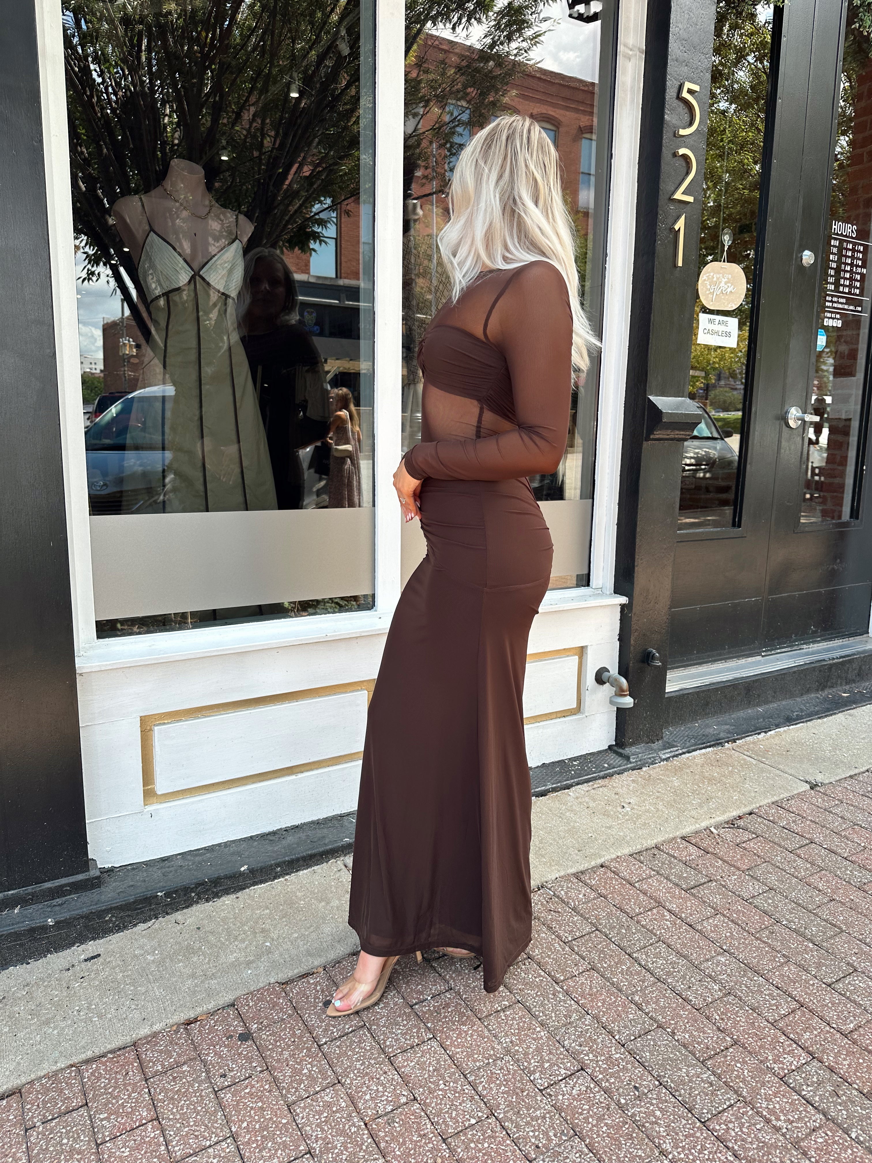 Woman wearing a long sleeve brown sheer maxi dress.