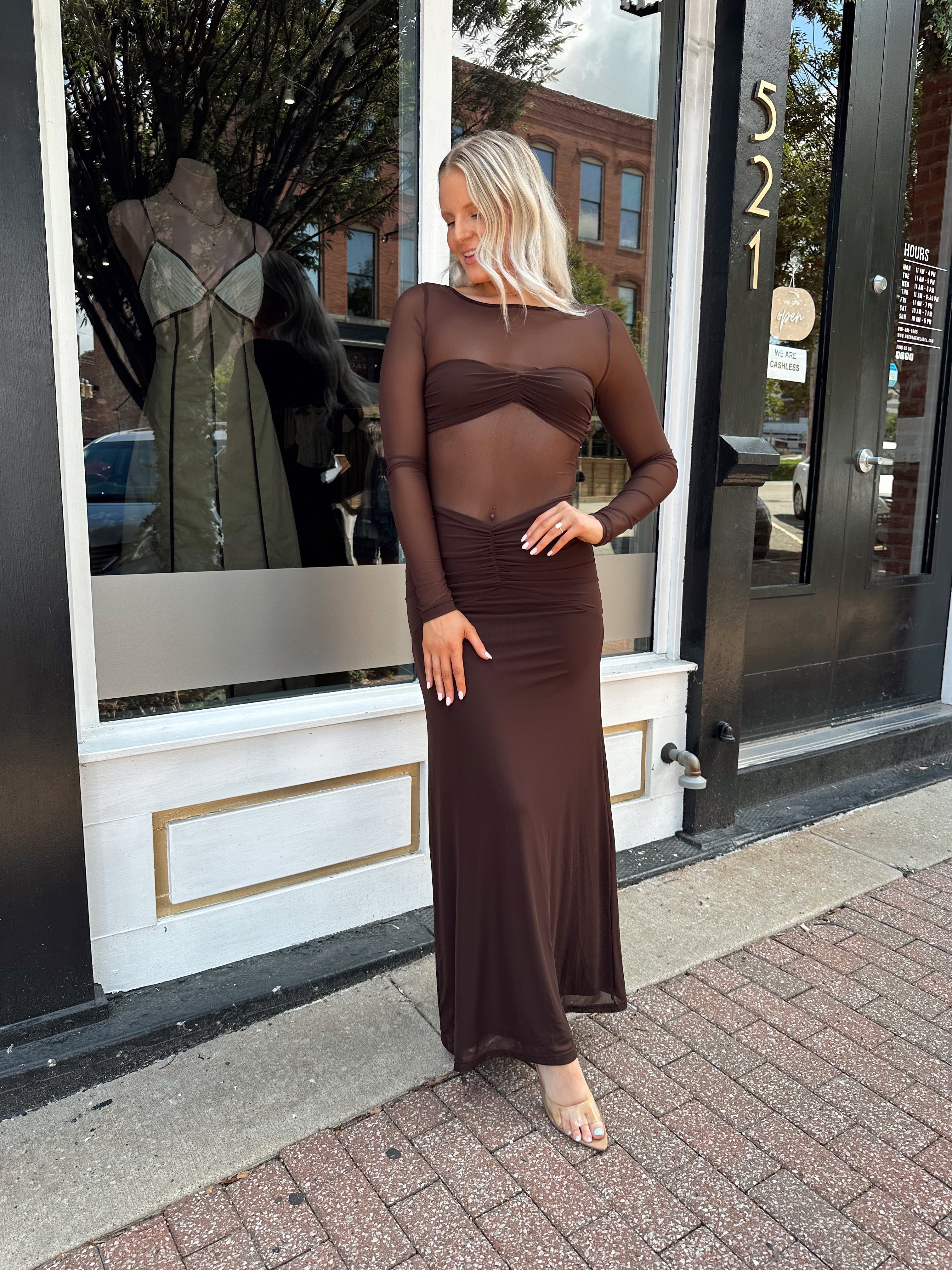 Woman wearing a long sleeve brown sheer maxi dress.
