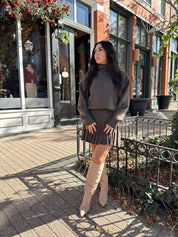 Benson Brown Sweater and Pleated Mini Skirt Set