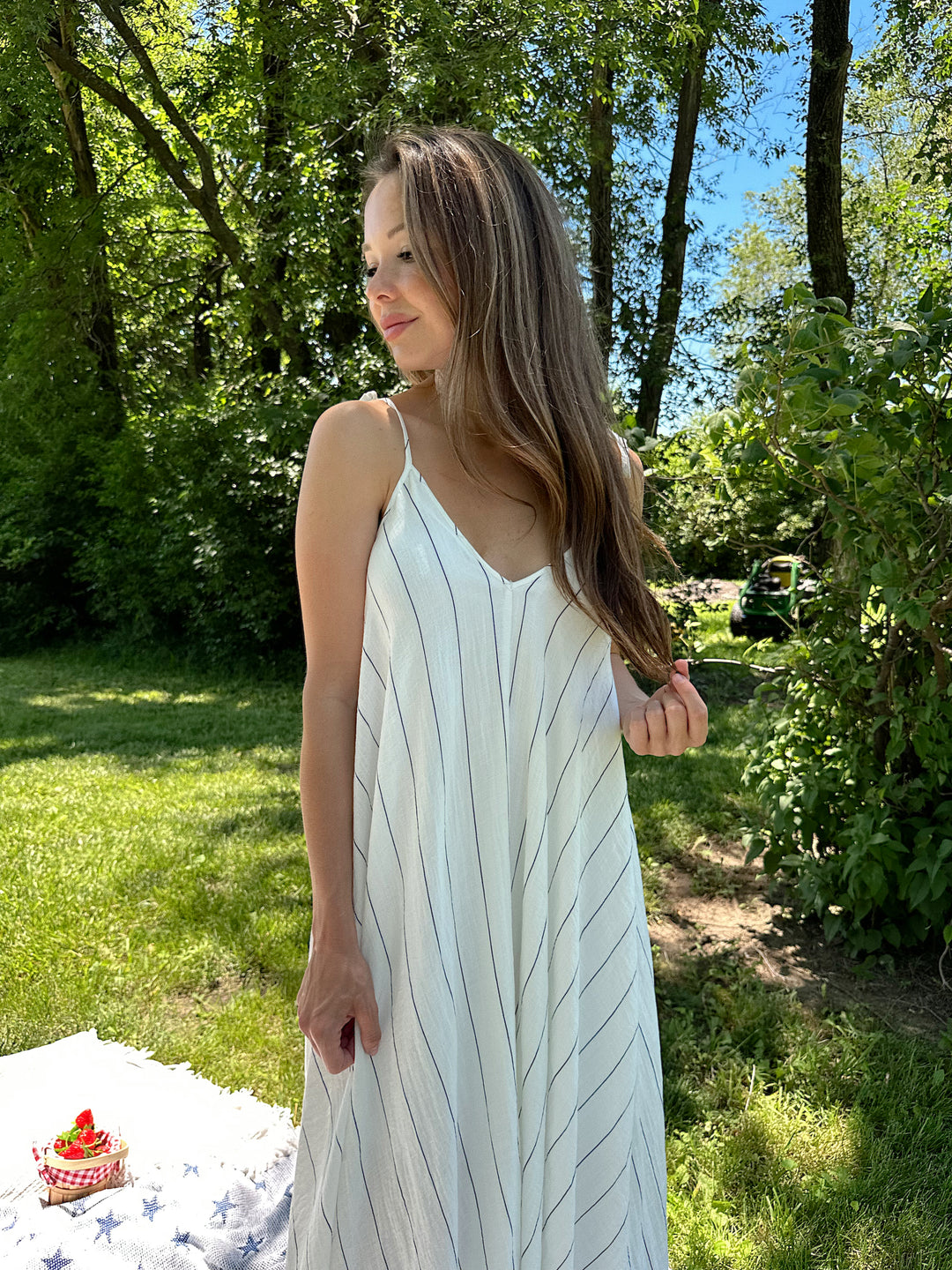 Frankie White and Blue Stripe Tie Maxi Dress