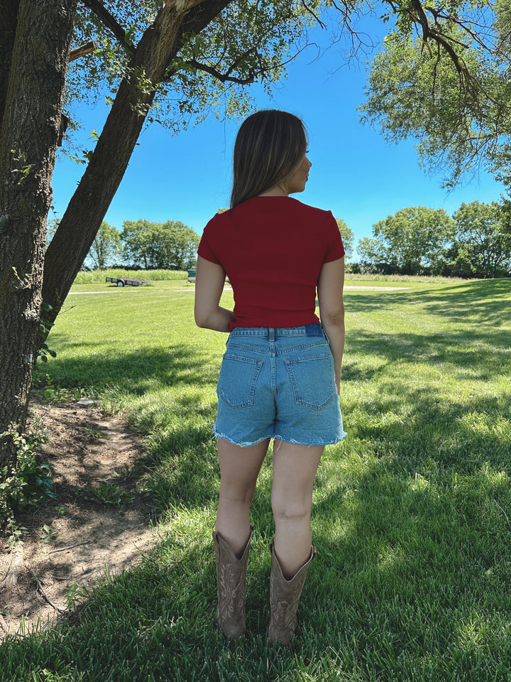 Embroidered American Flag Baby Tee- Red